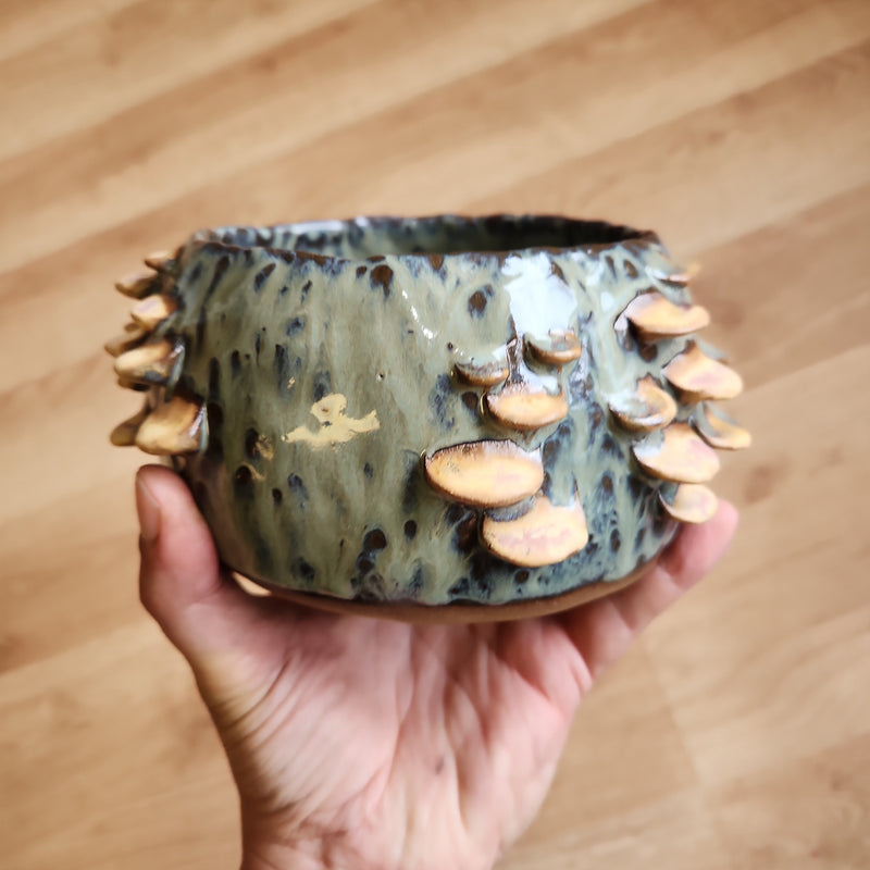 Lichen Green Fungus Pot - handbuilt - one of a kind