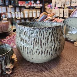 Large Lichen Pot - handbuilt - one of a kind