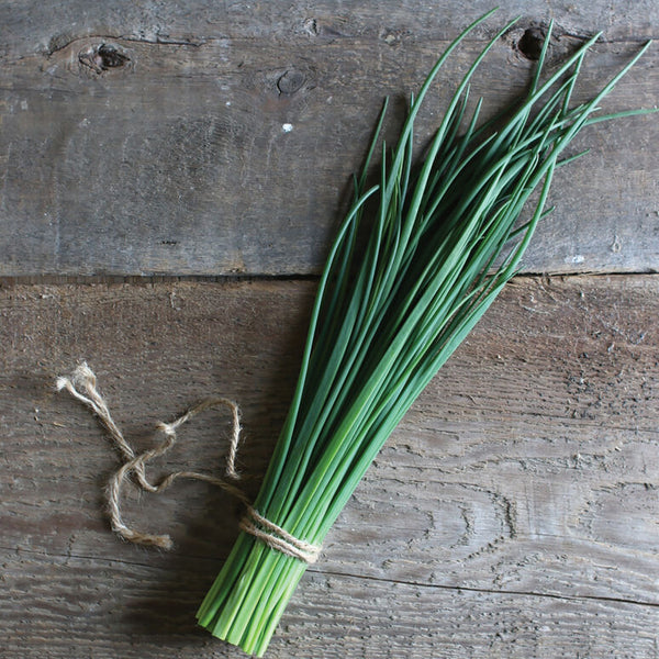 Small Bunch of Fresh Chives