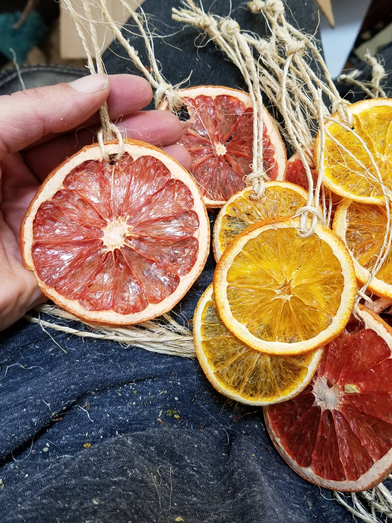 Citrus Slices Christmas Ornaments - All Natural