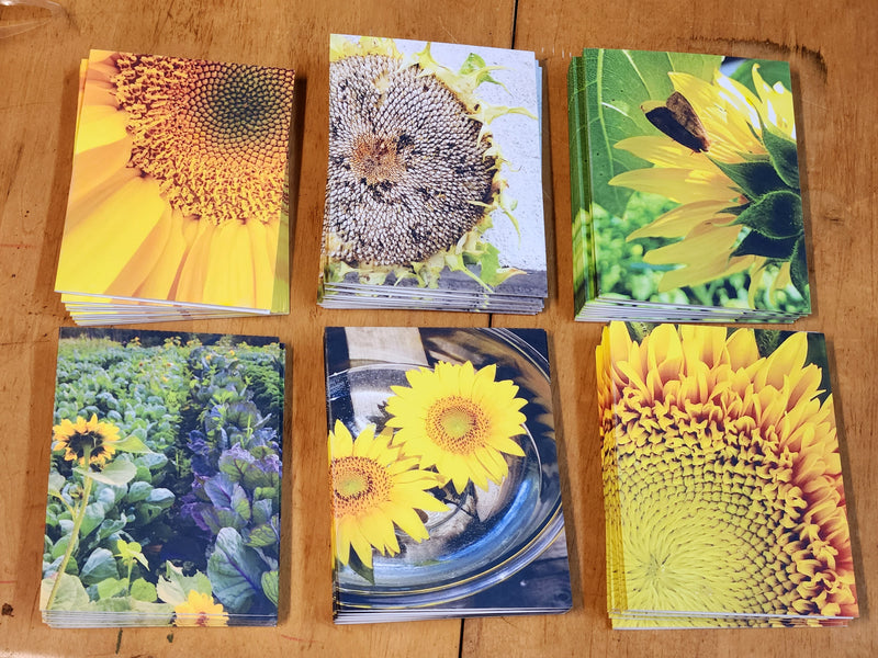 Notecards - Featuring Prints Of My Original Art - Envelopes Included