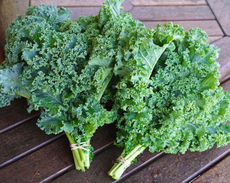 Kale - Single Plant