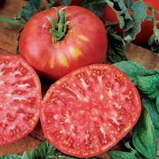 Brandywine Heirloom Tomato Transplants - Single Plants