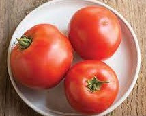 Slicing Tomato Transplants - Single Plants