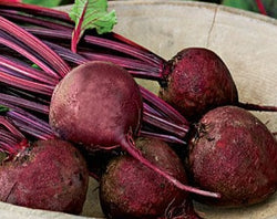 Red Ace Beet Transplants - 6-Pack